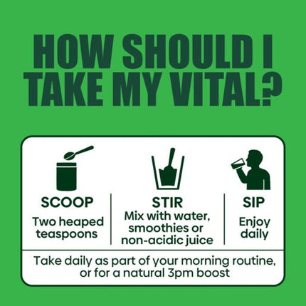 Vital All In One Powder 600g