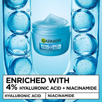 Garnier Hyaluronic Sorbet Cream 100g