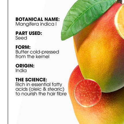 Klorane Mango Nourishing Replenishing and Radiance Mask 250ml