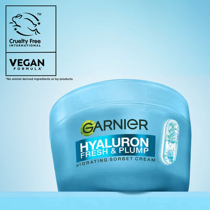 Garnier Hyaluronic Sorbet Cream 100g