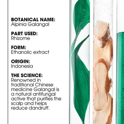 Anti-Dandruff Rebalancing & Treating Shampoo With Galangal 400mL