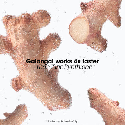Anti-Dandruff Rebalancing & Treating Shampoo With Galangal 400mL