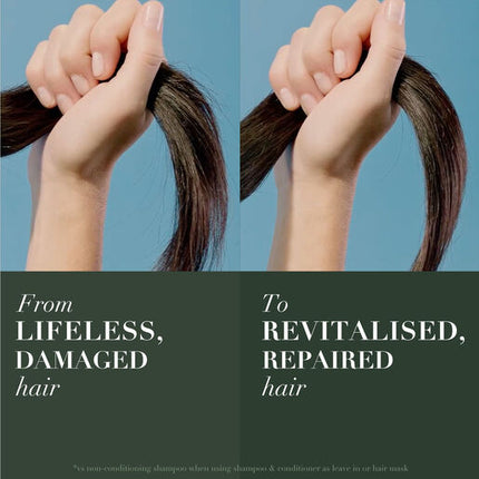 Herbal Essences Bio Renew Argan Oil of Morocco Shampoo 400mL