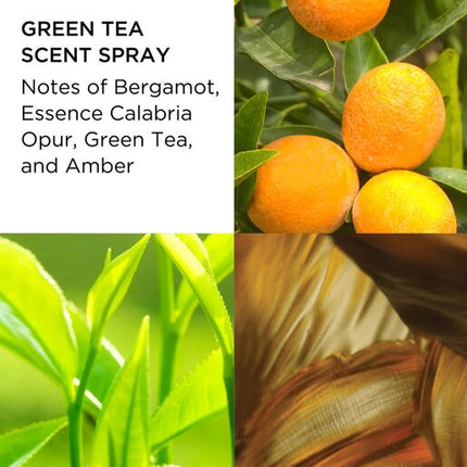 Elizabeth Arden Green Tea Gift Set for Women 100ml Scent Spray and Honey Drops Body Cream