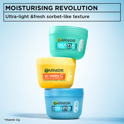 Garnier Hyaluronic Sorbet Cream 100g
