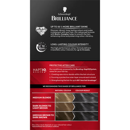 Schwarzkopf Brilliance 95 Smoky Grey